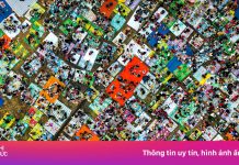 Cảnh ngoạn mục ở chân núi Bà Đen đầu năm