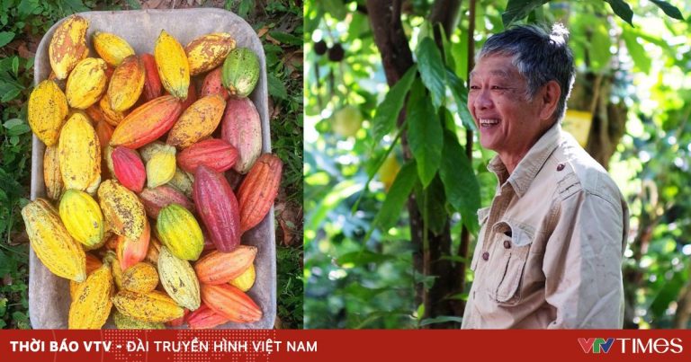 Hồi sinh đồi đá thành nông trại ca cao đặc biệt với những triết lý bất ngờ về nông nghiệp bền vững Hồi sinh đồi đá thành nông trại ca cao đặc biệt với những triết lý bất ngờ về nông nghiệp bền vững