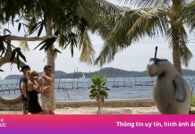 Tôi thấy toàn khách Tây ở Phú Quốc