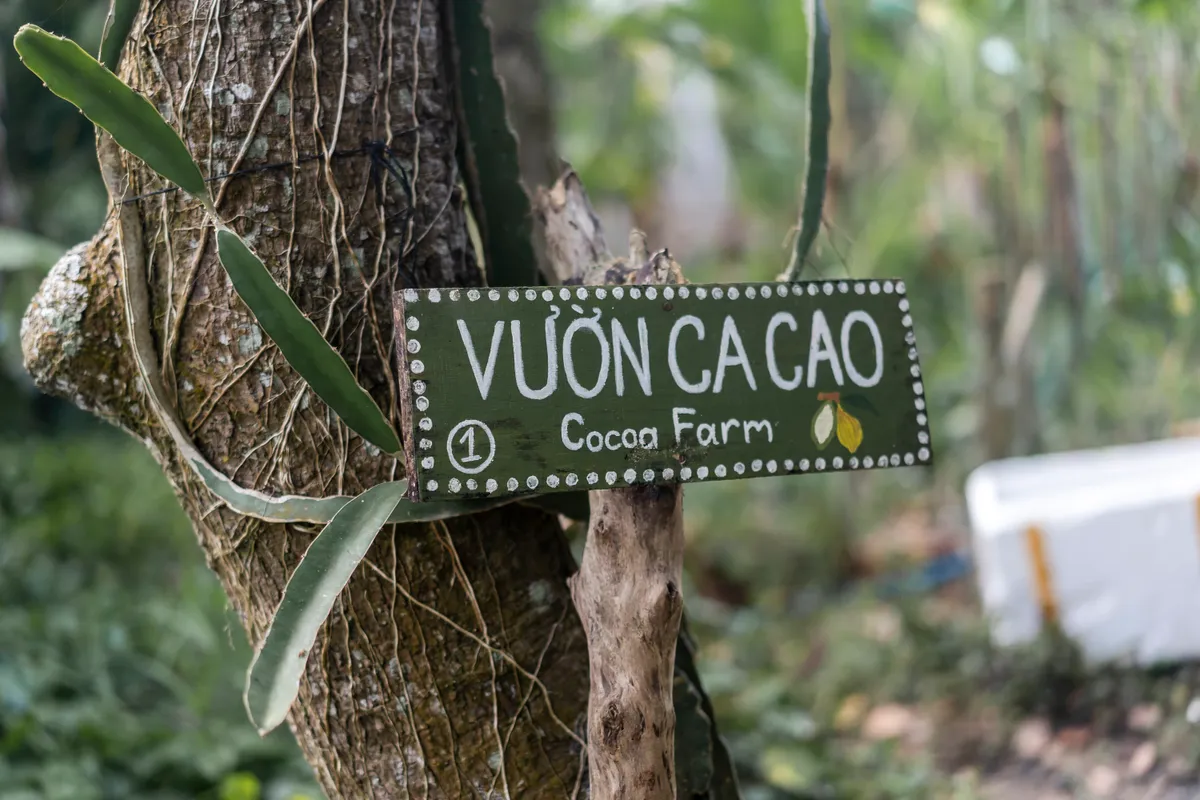 Hồi sinh đồi đá thành nông trại ca cao đặc biệt với những triết lý bất ngờ về nông nghiệp bền vững - Ảnh 10.