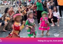 Ngăn chặn hành vi dẫn dụ trẻ nhảy sexy xin tiền tại Sa Pa