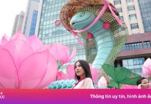 Du lịch TP.HCM thu gần 7.690 tỷ đồng dịp Tết Ất Tỵ