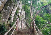 Khám phá thành đá cổ gần 2 triệu năm giữa đại ngàn