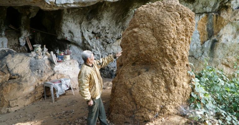 Cả làng bảo vệ tổ mối cao hơn 2m, không ai dám xâm hại