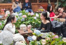 Quán cà phê Hà Nội trồng cẩm tú cầu, phun sương nhân tạo hút cả nghìn khách