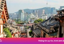 Du lịch theo tour thành ‘mốt’ tại Hàn Quốc