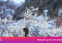 Băng tuyết phủ trắng núi cao Mù Cang Chải