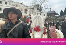 Khách ‘vét sạch’ phòng nghỉ tại Bắc Hà, Lào Cai