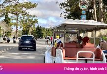 Dừng hoạt động xe điện 4 bánh chở du khách ở Đà Lạt