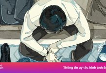 Áo dài, vest hiệu đóng gói ra sao khi đi tàu xe dịp Tết?