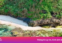 Bức tranh rêu xanh huyền ảo đẹp mê hồn ở núi lửa Lý Sơn