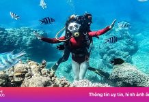 Báo Mỹ cảnh báo san hô Nha Trang bị ‘hủy diệt’ vì du lịch quá mức