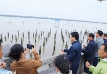 Thăm Bạch Đằng Giang – nơi khí thiêng sông núi hội tụ