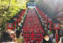 Lễ hội búp bê – nét đẹp văn hóa Nhật Bản