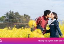 ‘Khi cuộc đời cho bạn quả quýt’ có cứu nổi du lịch Jeju?