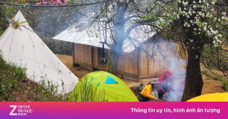 Cạn phòng homestay bản Nậm Nghiệp mùa hoa táo mèo đẹp nhất 5 năm Cạn phòng homestay bản Nậm Nghiệp mùa hoa táo mèo đẹp nhất 5 năm