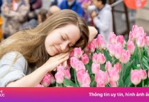 Vé Ba Na Hills cho khách miền Trung, Tây Nguyên chỉ còn 350.000 đồng