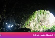 Cấm tham quan tự do hang động núi lửa Đắk Nông sau vụ du khách tử vong