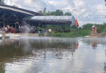 Con suối phun nước nóng quanh năm, có thể luộc chín trứng gà ở Bình Định