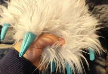 Khách Hà Nội tới mua cà phê qua lỗ thủng trên tường ở phố cổ