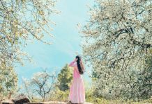 Rừng hoa sơn tra lớn nhất Việt Nam nở rộ, khách đổ về check-in