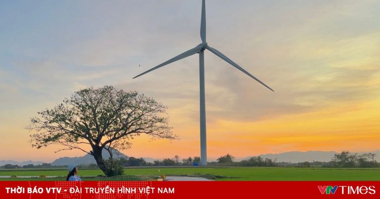 Cánh đồng điện gió ở Ninh Thuận có gì mà hút khách đến thế? Cánh đồng điện gió ở Ninh Thuận có gì mà hút khách đến thế?