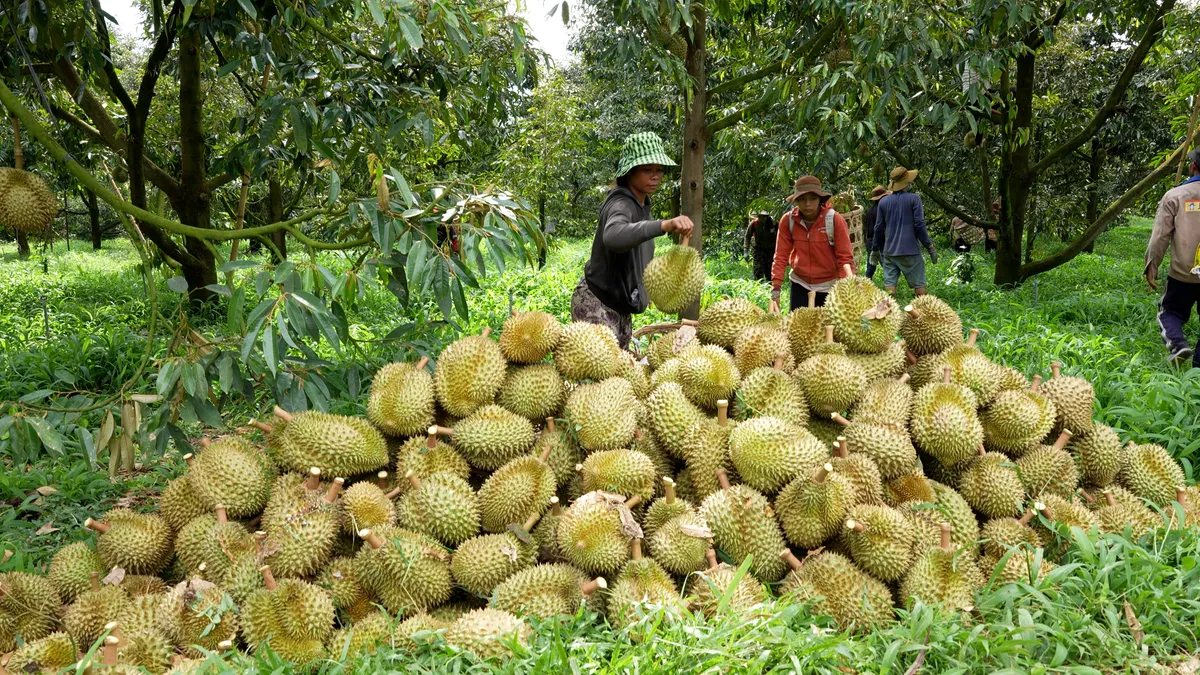 Khánh Hòa phê duyệt quy hoạch Khánh Sơn: Xây dựng tiểu đô thị sinh thái núi rừng - Ảnh 3.