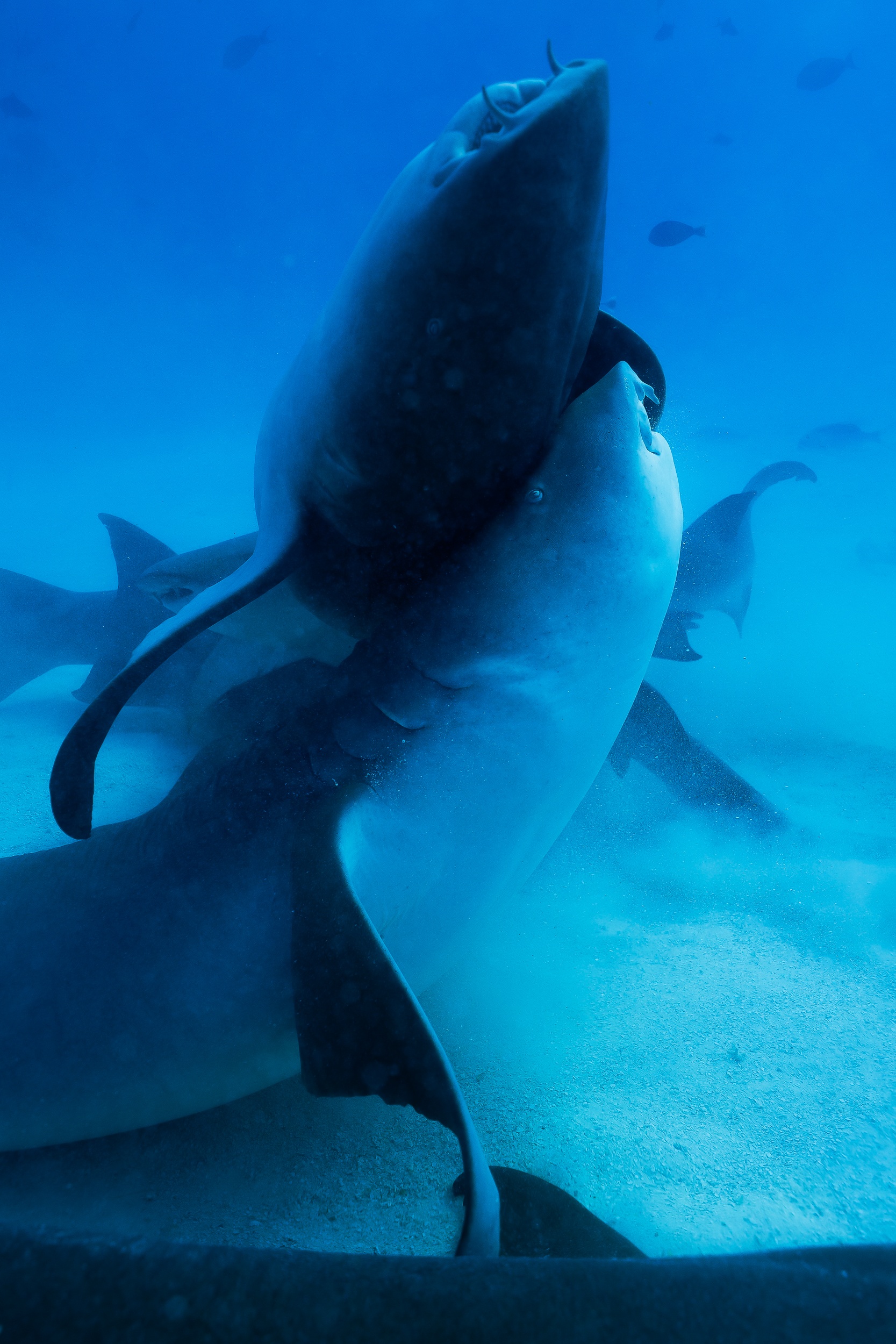 Du lich Maldives tiet kiem anh 22