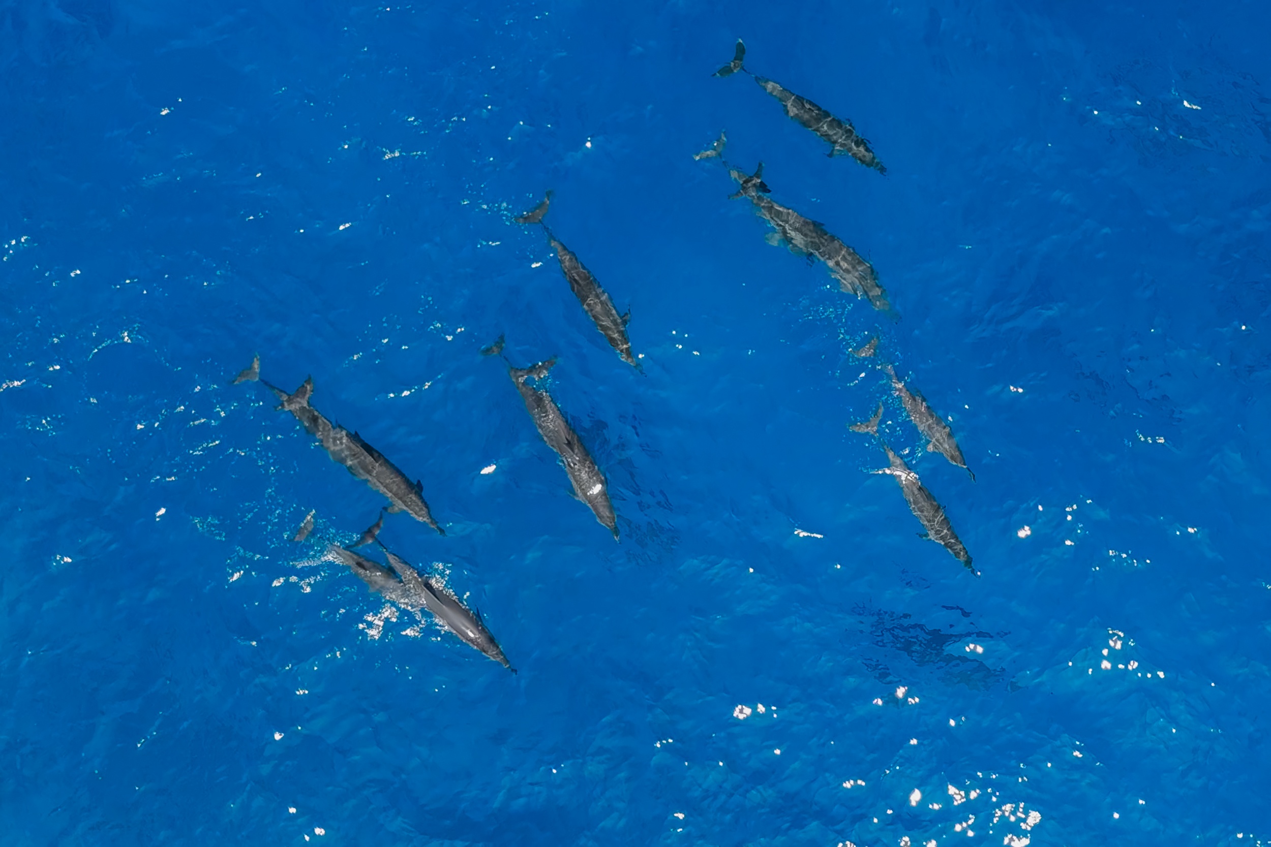Du lich Maldives tiet kiem anh 12