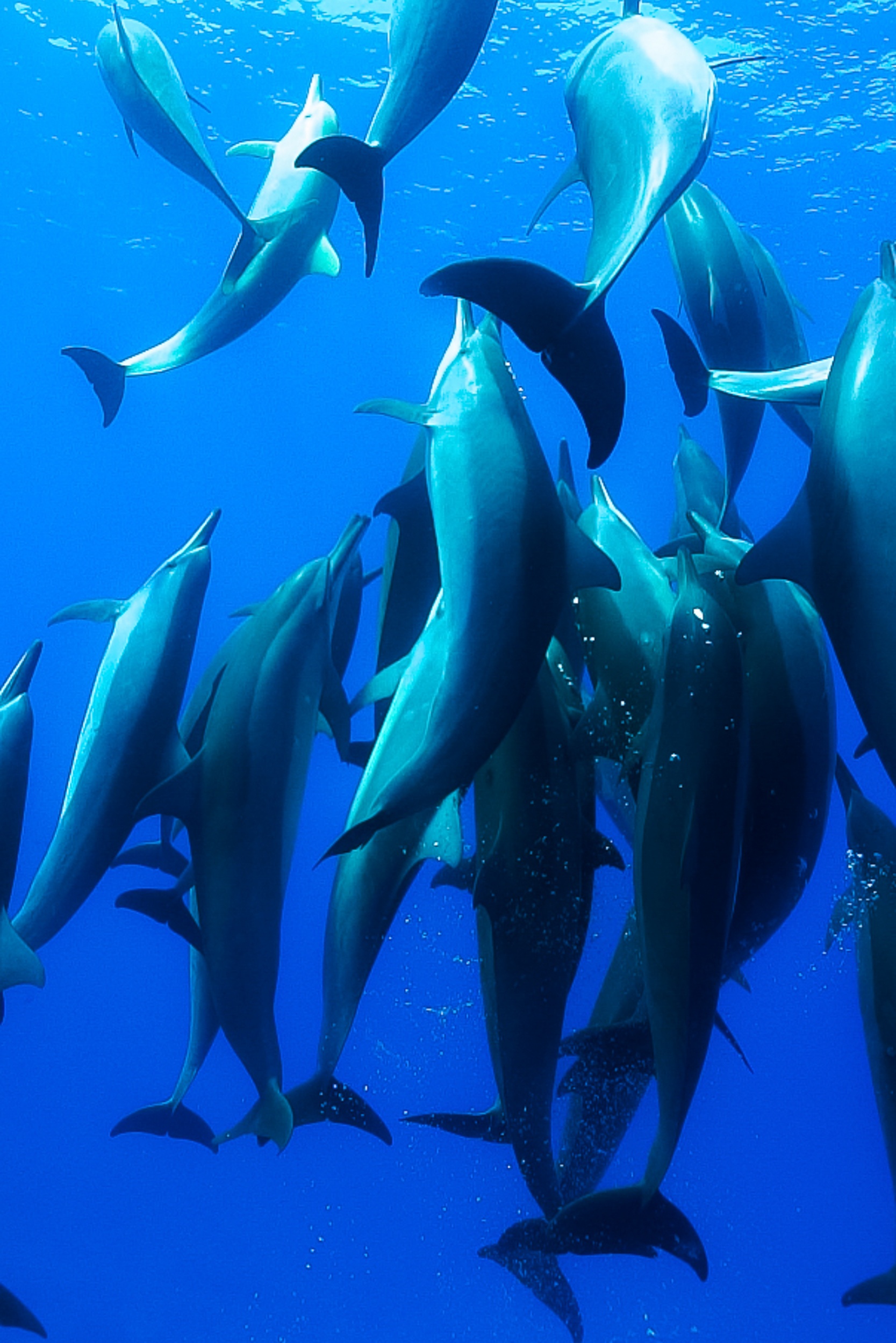 Du lich Maldives tiet kiem anh 23