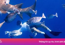 Tôi du lịch Maldives với 33 triệu đồng