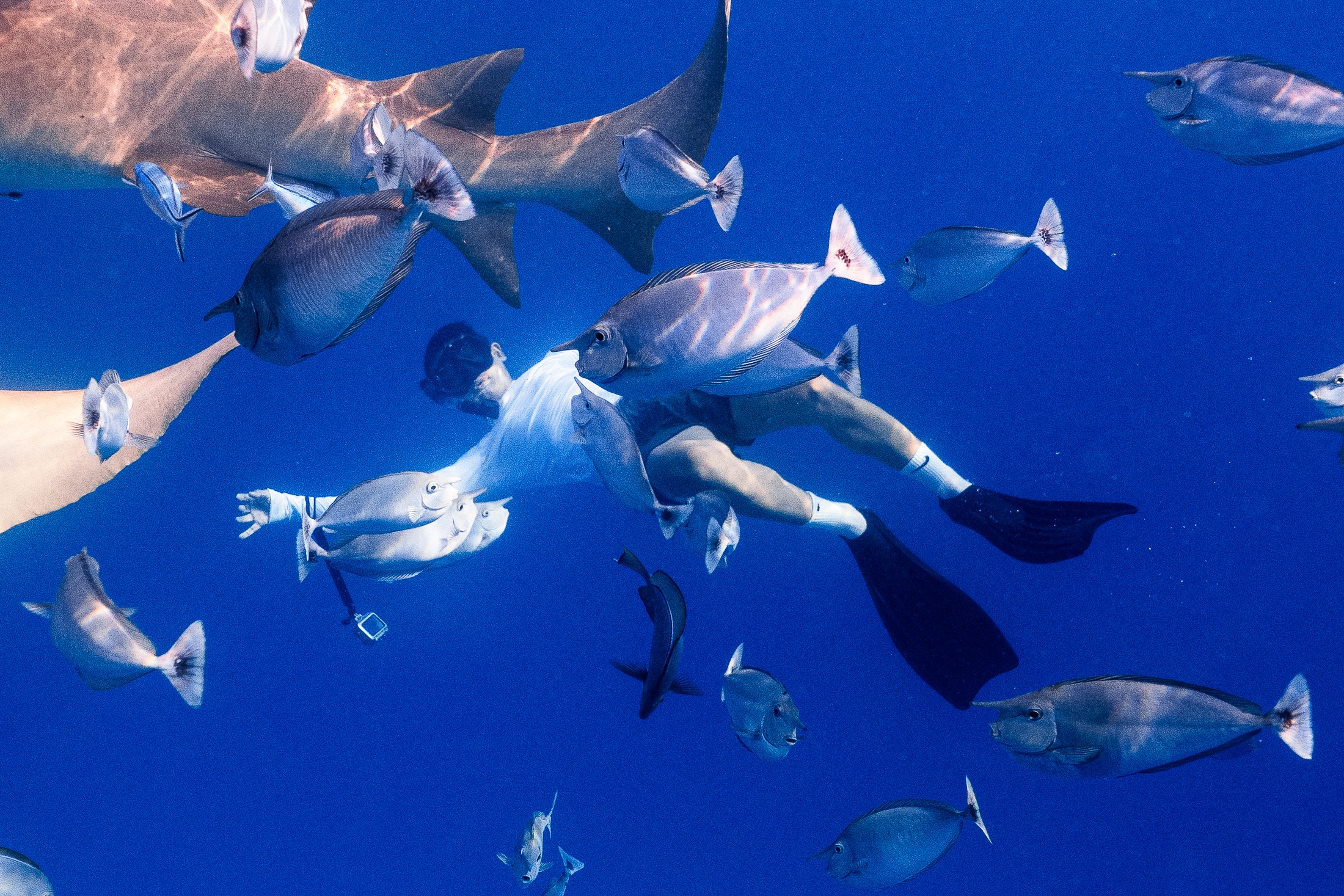 Du lich Maldives tiet kiem anh 1