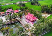 Ngôi chùa màu hồng rực rỡ, có hàng cây cổ thụ hiếm thấy ở An Giang