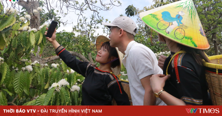 Nhiều đơn vị hưởng ứng phục vụ miễn phí cho du khách đến Lễ hội Cà phê Buôn Ma Thuột Nhiều đơn vị hưởng ứng phục vụ miễn phí cho du khách đến Lễ hội Cà phê Buôn Ma Thuột