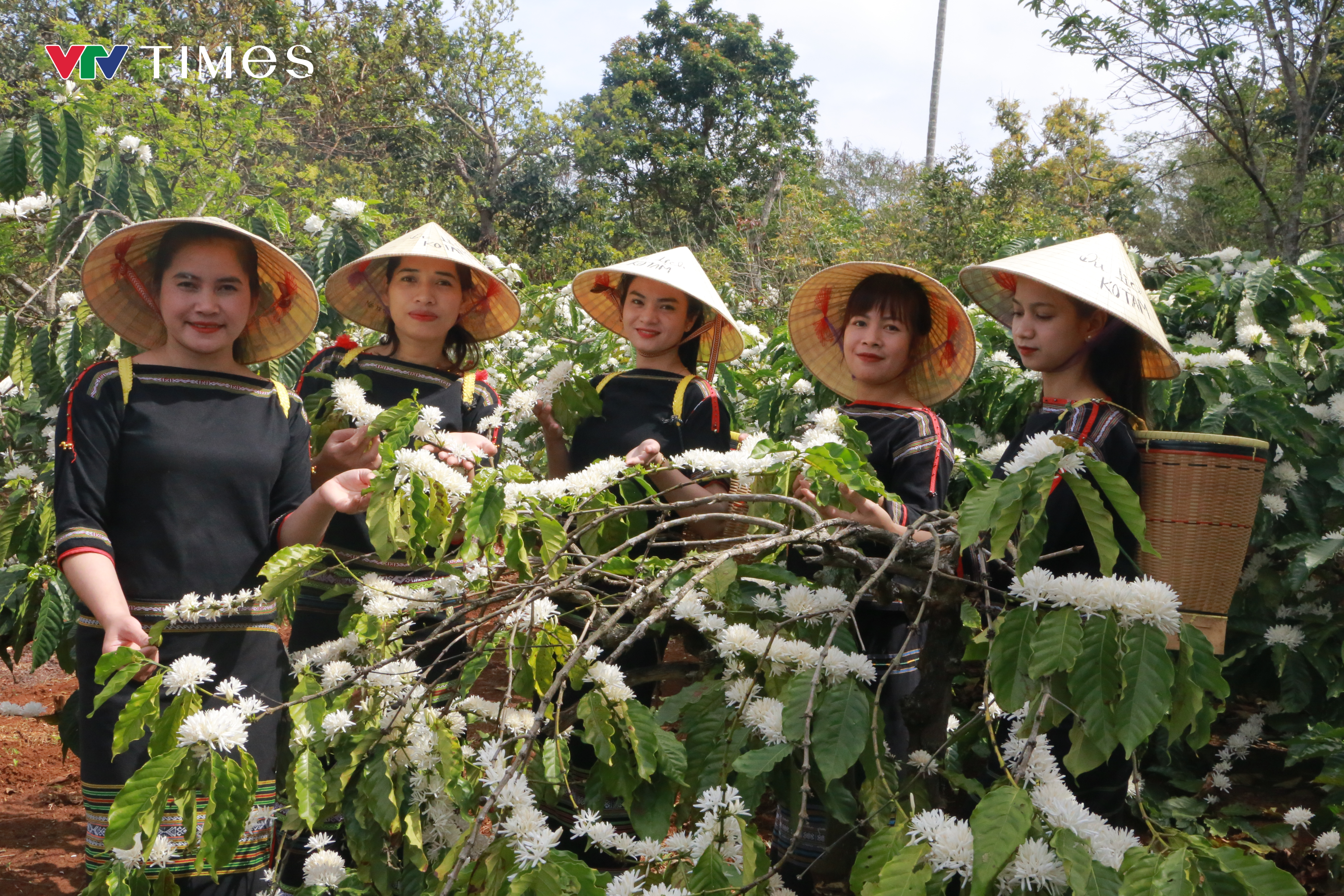 Nhiều đơn vị hưởng ứng phục vụ miễn phí cho du khách đến Lễ Hội Cà Phê Buôn Ma Thuột 2025 - Ảnh 1.