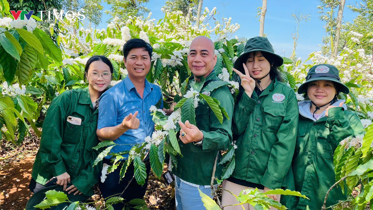 Nhiều đơn vị hưởng ứng phục vụ miễn phí cho du khách đến Lễ Hội Cà Phê Buôn Ma Thuột 2025 - Ảnh 3.