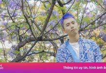 Mùa phượng tím ‘ế’ khách Việt của Côn Minh, Trung Quốc