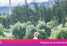 Đà Nẵng được tìm kiếm nhiều nhất dịp Giỗ tổ Hùng Vương