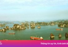 Chưa cấp phép ‘tiệc tùng’ trong hang động trên vịnh Bái Tử Long