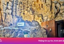 Cảnh ‘hành hạ thô bạo’ trong 5 hang động ở vịnh Bái Tử Long