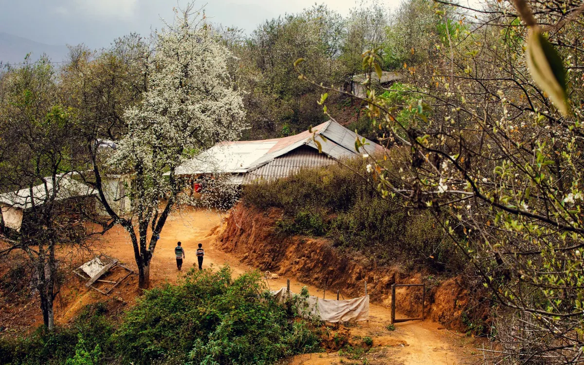 Bình yên mùa hoa sơn tra ở bản Nậm Nghiệp, Sơn La - Ảnh 1.