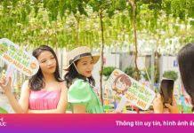 Tắm biển sảng khoái, khám phá vườn nho xinh tại Suối Tiên