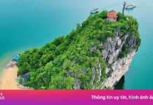 Sắp hết cảnh cả vịnh Hạ Long chỉ có 1 bãi tắm