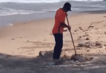 Phạt 3,5 triệu đồng người chôn rác xuống bãi biển Mũi Né