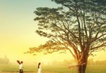 Văn học quảng bá du lịch