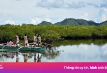 Từ ngư tặc trở thành người làm tour du lịch sinh thái ở Philippines