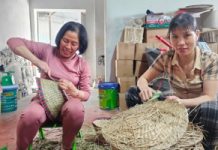 Ninh Bình: Sức sống di sản nghề cói Kim Sơn