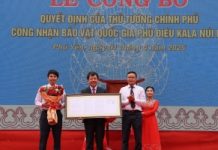 Phú Yên: Công nhận phù điêu Kala Núi Bà là bảo vật quốc gia