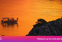 Khách nước ngoài thích trải nghiệm gì về đêm ở Cát Bà?