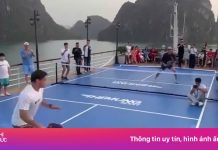 Phạt 12,5 triệu đồng du thuyền tổ chức pickleball trên vịnh Hạ Long